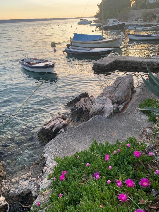 Willa Petite House Starigrad Paklenica Zewnętrze zdjęcie